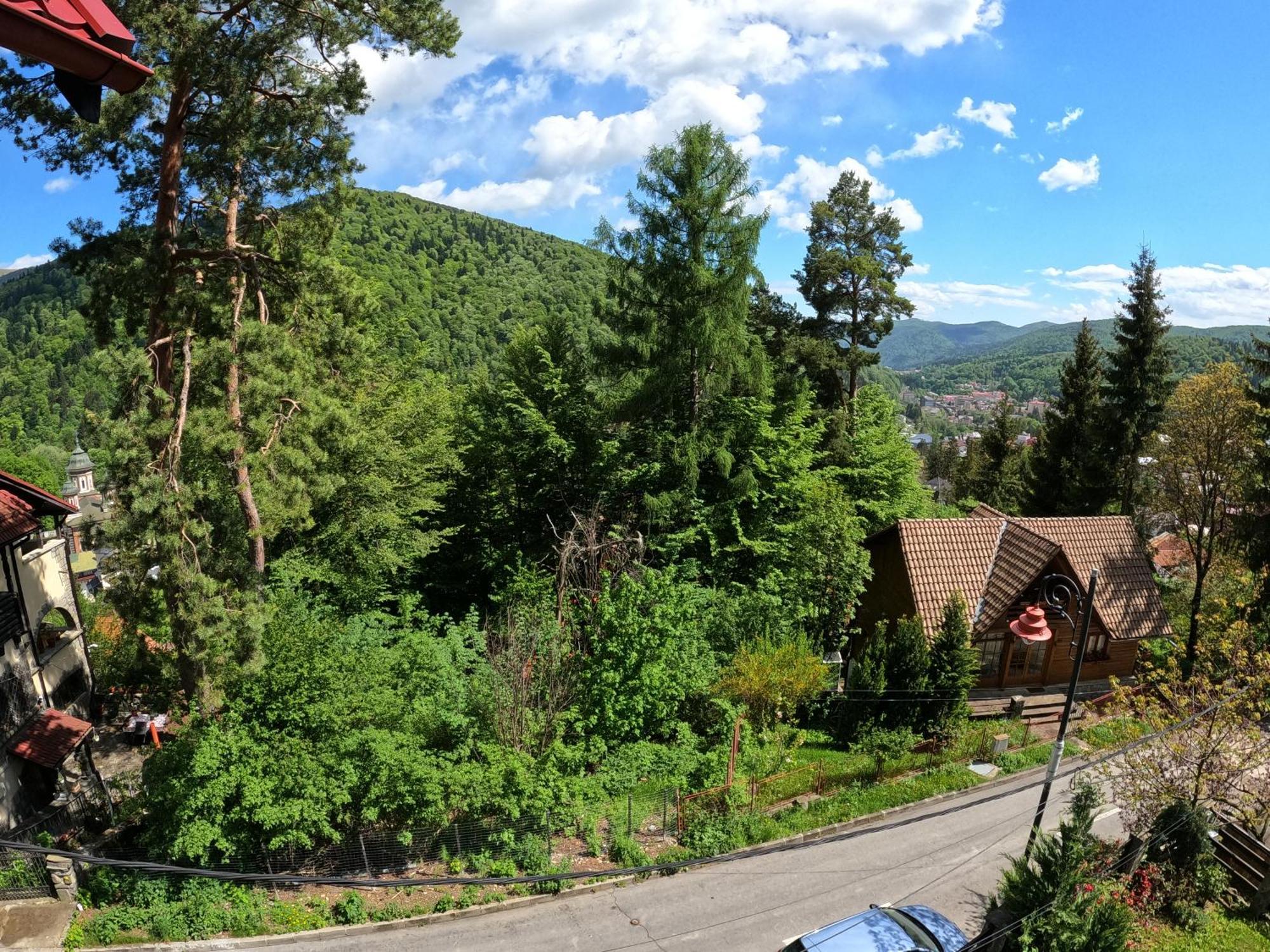 Casa Adina Hotel Sinaia Kültér fotó